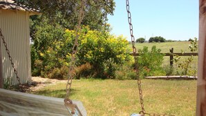 Une balançoire en bois avec une chaîne en métal, un abri en tôle ondulée et un buisson aux fleurs jaunes dans un champ herbeux.