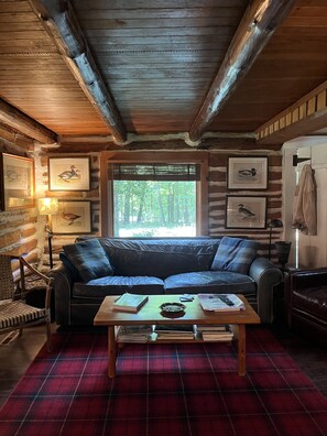 Una chimenea, un reproductor de DVD, libros, una videoteca