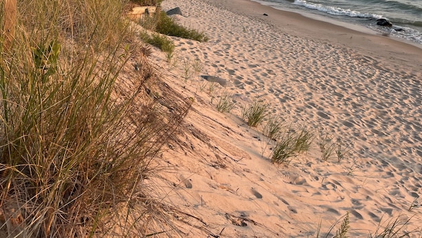 A beach with a wooden walkway leading to the shore, surrounded by sand dunes and sparse vegetation.