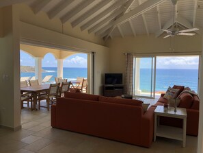 Älytelevisio, DVD-soitin, kirjoja, videokirjasto