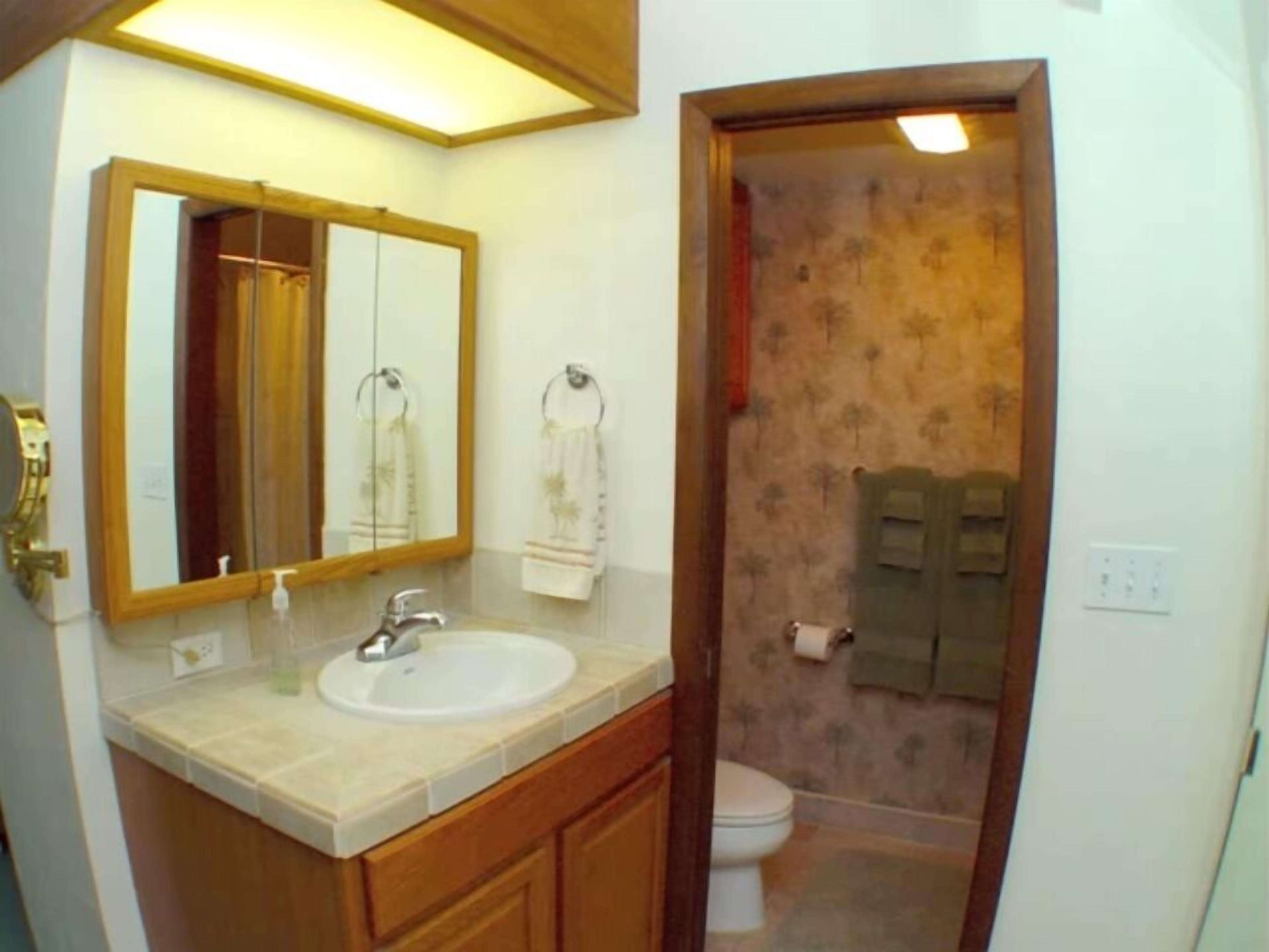 Combined shower/tub, hair dryer, towels, soap