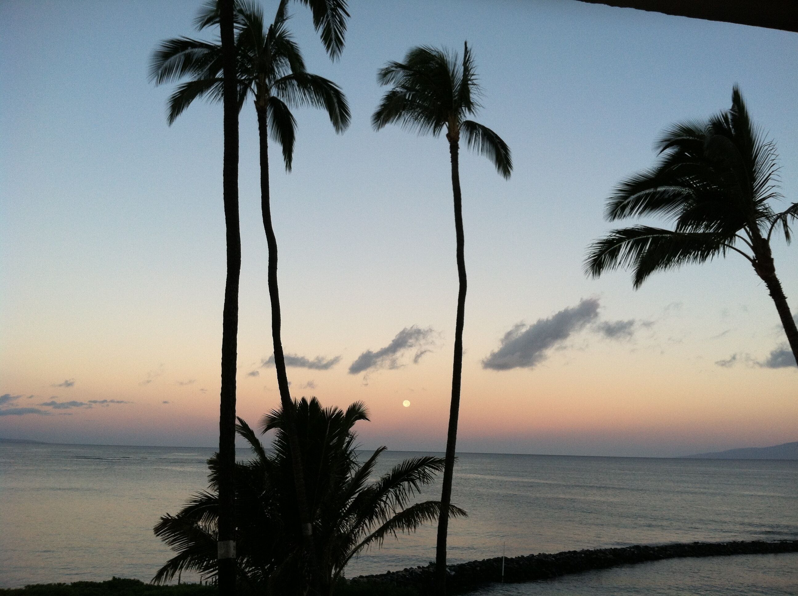 On the beach, sun loungers, beach towels