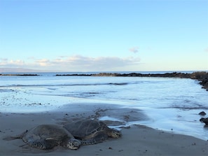 On the beach, sun-loungers, beach towels