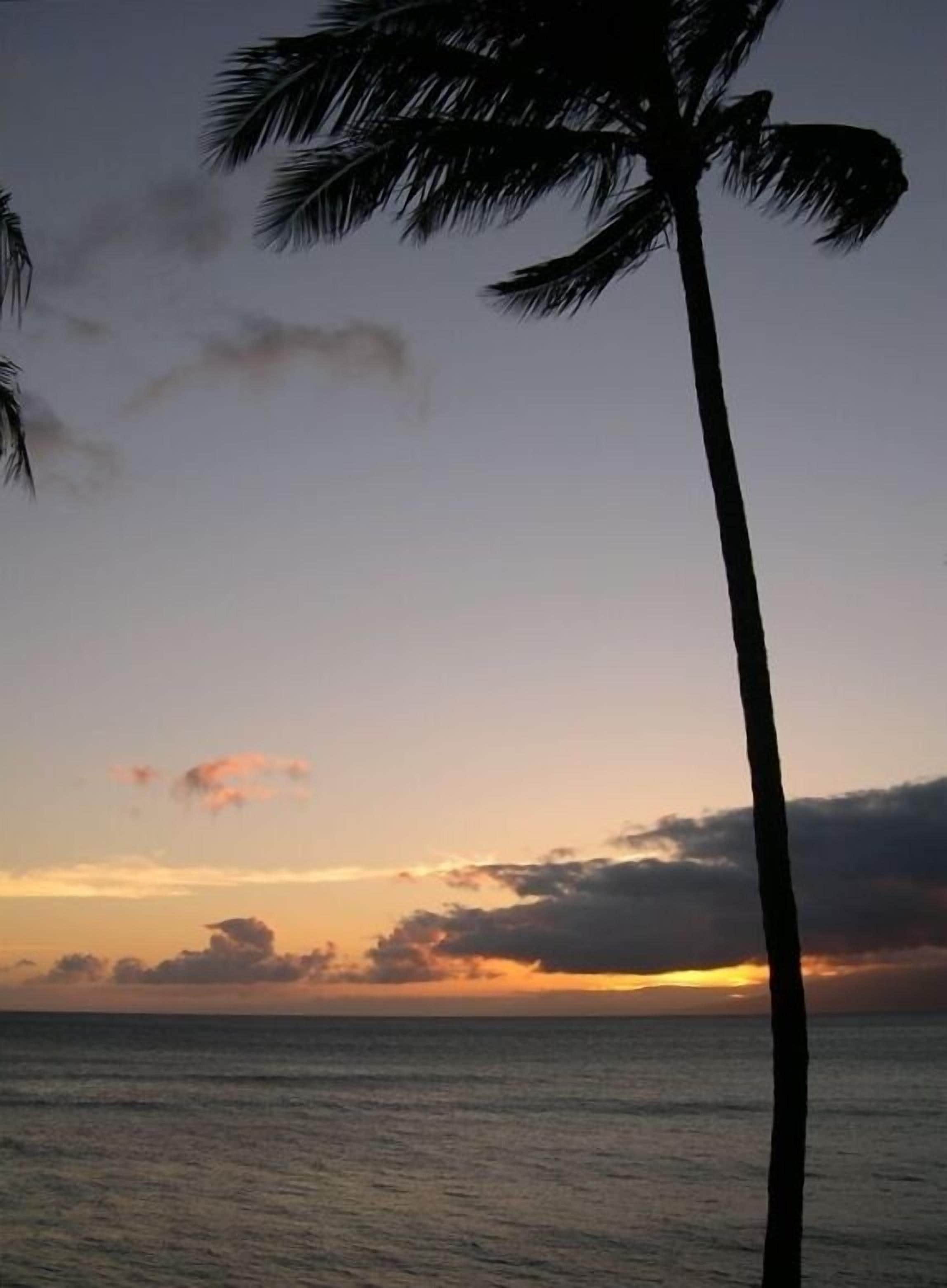 On the beach, beach towels