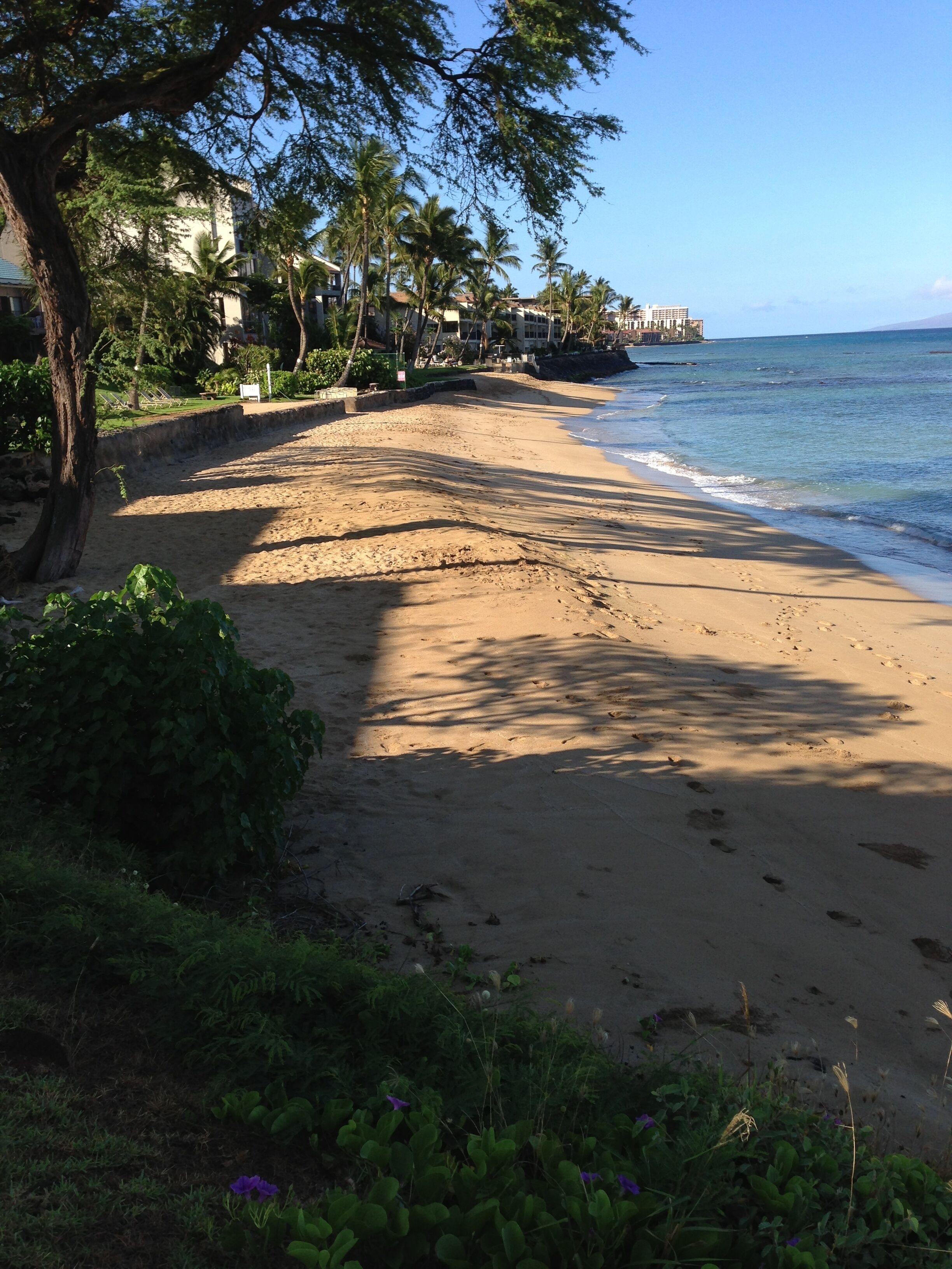 On the beach, beach towels