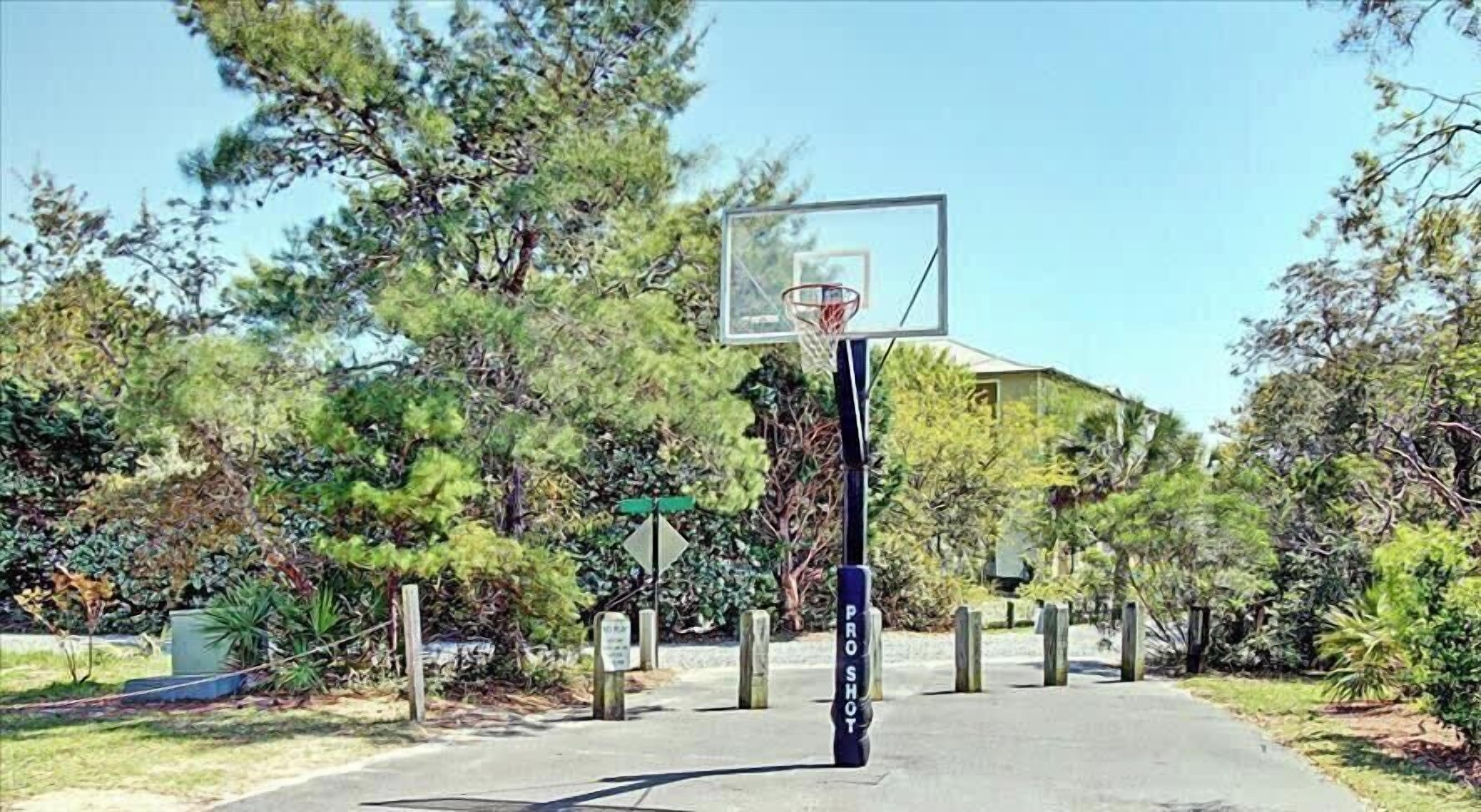 Canasta de baloncesto con una cerca de malla, árboles y un edificio al fondo.