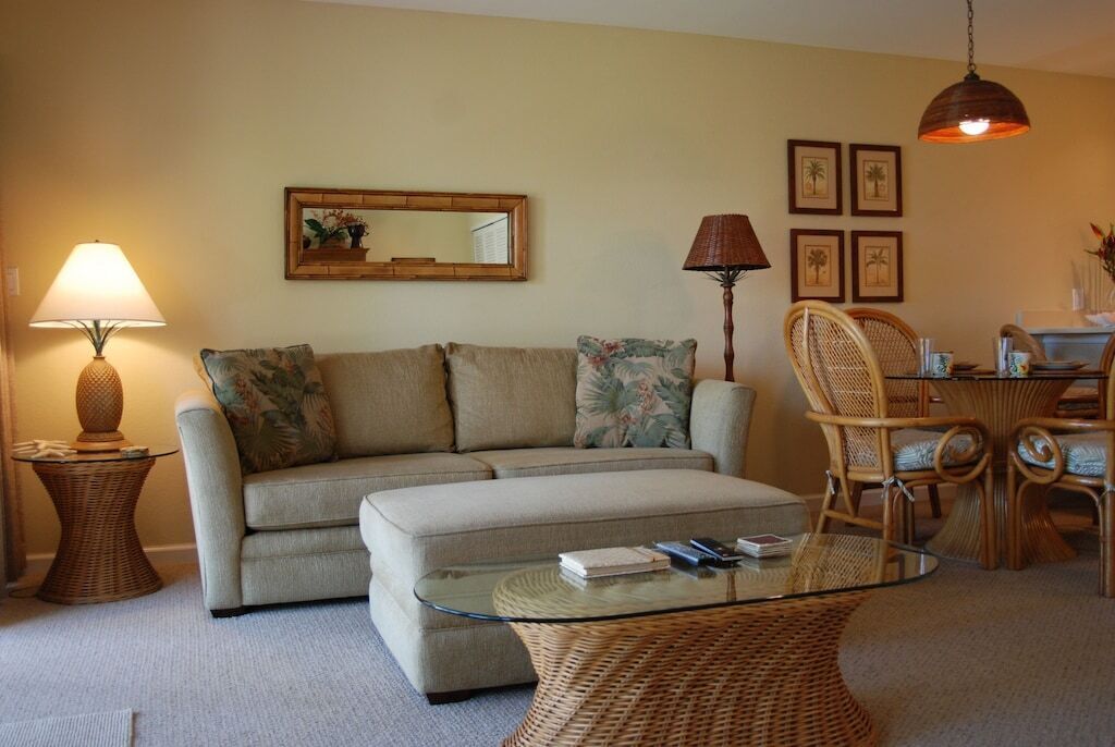 TV, DVD player, books, music library