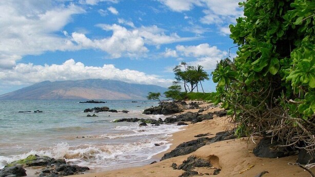 A beach with clear skies, rocky shoreline, and sparse vegetation. - Enjoy a Piece of Paradise with Ocean View, Whale Watching, Snorkeling and More! (Kihei)