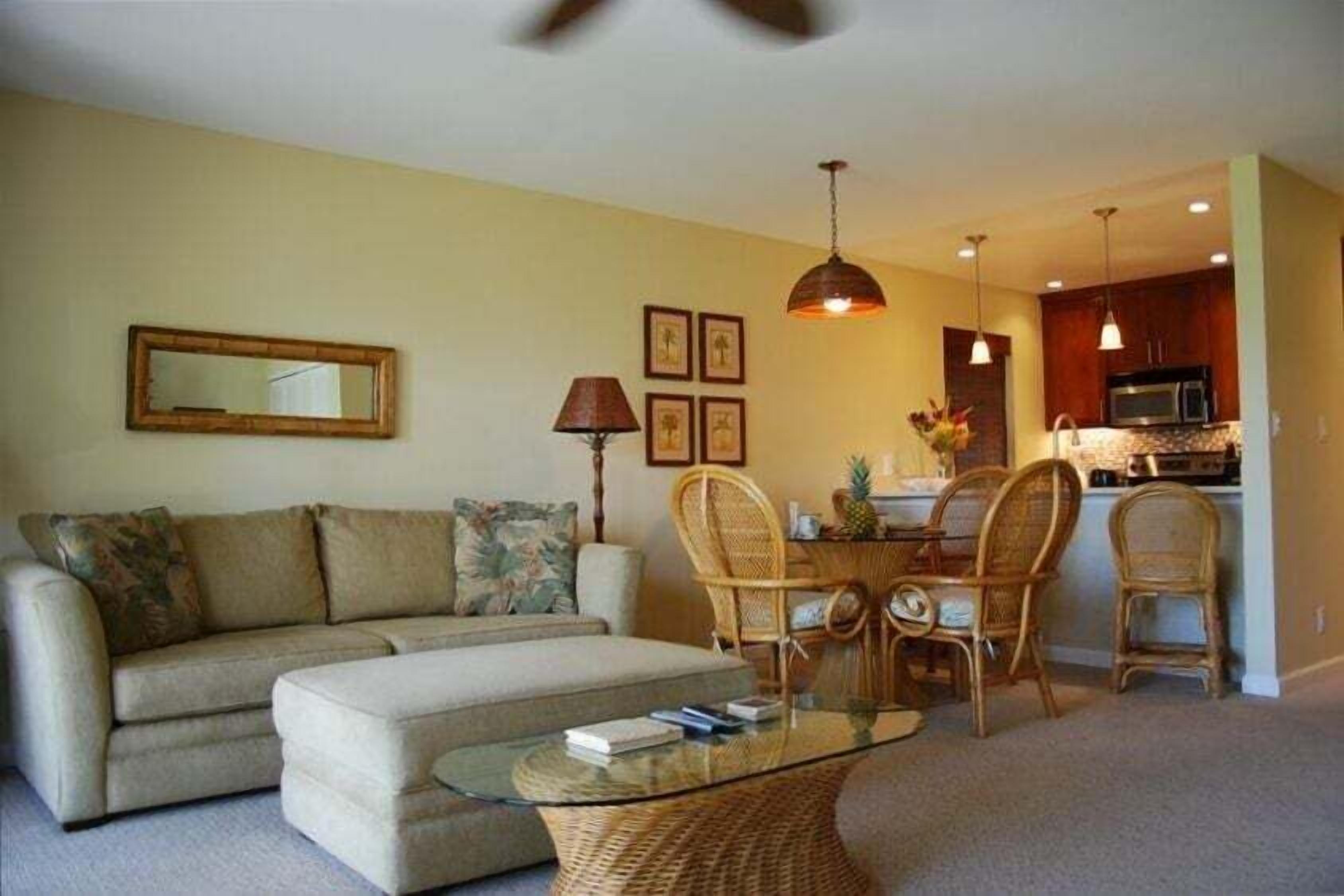 TV, DVD player, books, music library