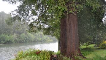 Terrain de l’hébergement
