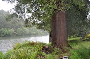 Surrounded by lush greenery and a serene river, this tranquil setting offers a peaceful escape.