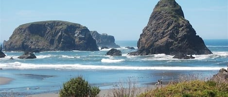 Sit and take in the serene coastal views from a scenic bench amidst the dramatic rock formations.