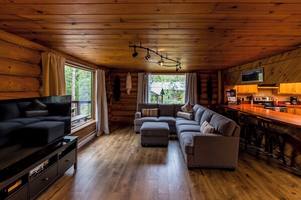 Téléviseur connecté, jeux vidéo, livres