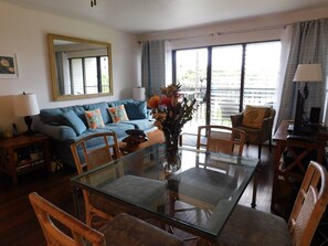 Smart TV, DVD player, books, music library