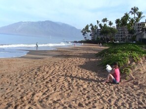 Beach nearby, sun loungers, beach towels - SPRING into the ideal getaway on balmy, blissful Maui! (Kihei)