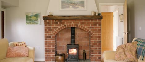 TV, fireplace, DVD player, books