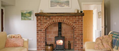 TV, fireplace, books