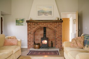 TV, fireplace, DVD player, books