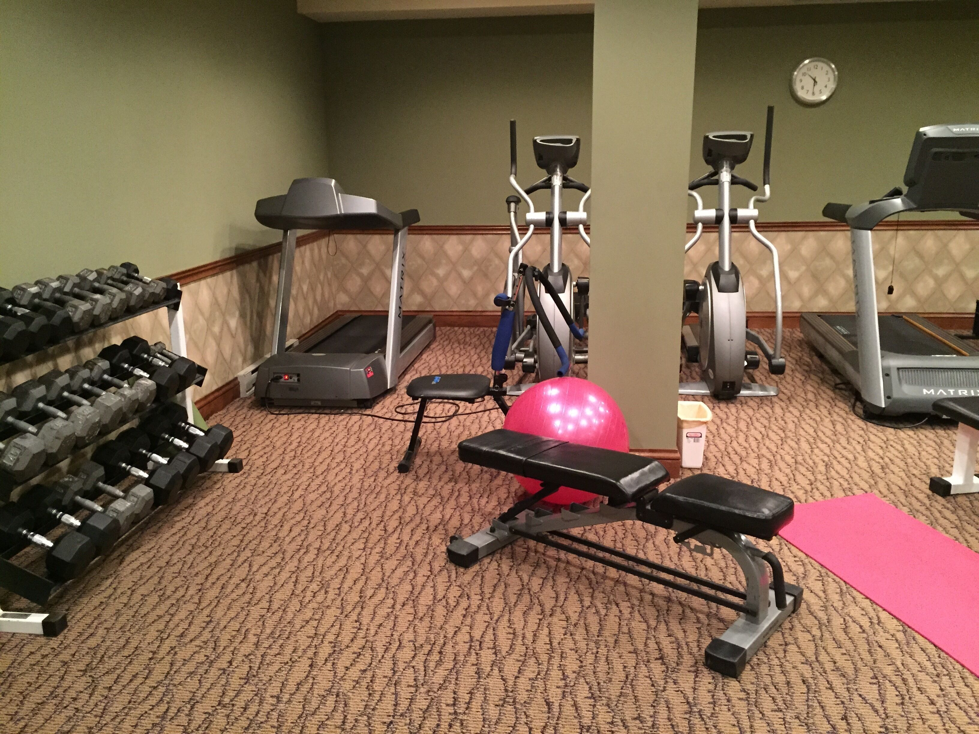 Een sportschool met loopbanden, elliptische trainers, gewichten en een hometrainer.