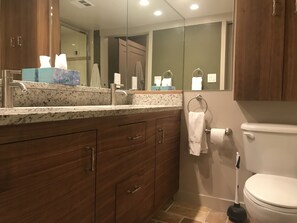 Combined shower/tub, hair dryer, towels, soap