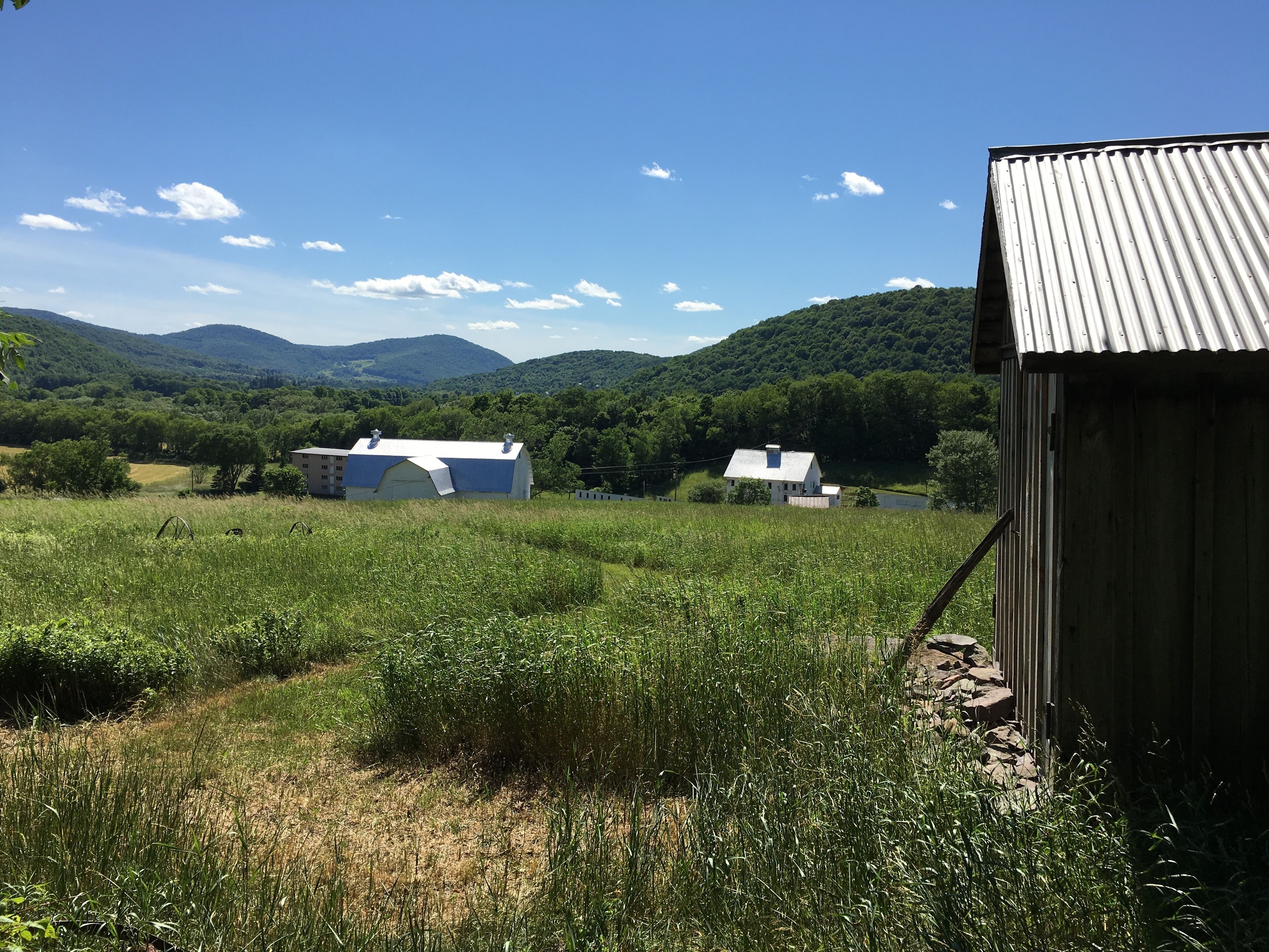 A rural landscape with a barn, a small house, and a wooden structure.