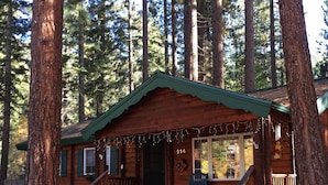 A wooden cabin with a porch, surrounded by tall trees.