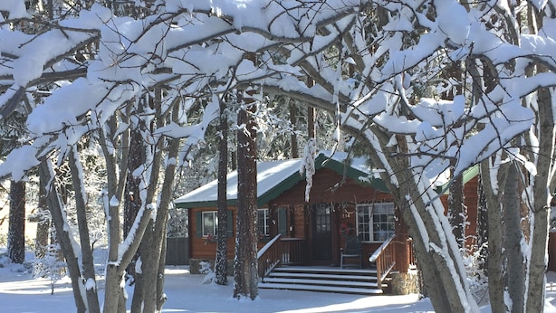 A cabin with a green roof and wooden exterior, surrounded by snow-covered trees.