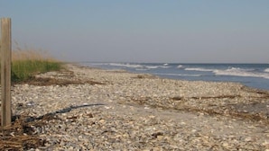 Una playa pedregosa con un poste de madera y algas marinas.
