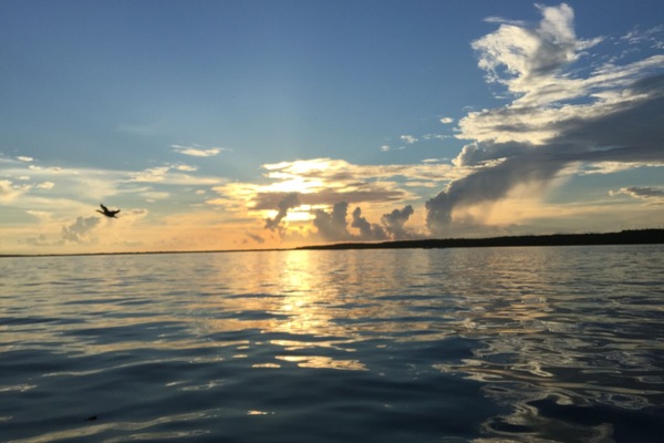 view from jetty