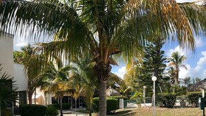 A landscaped area with palm trees, gravel paths, and a building in the background. - Florida Keys Townhouse For Rent 2/2 (Key Largo)