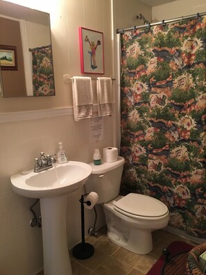 Bañera con ducha, secador de pelo, toallas, jabón