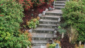 A stone staircase surrounded by lush greenery and red flowering bushes. - The Stone House - Wild Atlantic Way (Fanore)