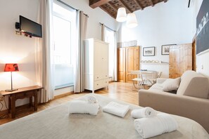 Flat-screen TV - SPECIAL OFFER - in the Heart of ancient Rome (Roma)