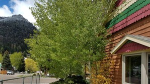 Una casa amb teulada verda, base de pedra i un arbre gran al davant.
