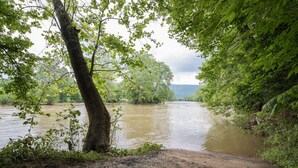 Orilla de río con un sendero de tierra que lleva al río, rodeada de abundante follaje verde y árboles.