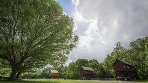 Un granero y una casa en un campo cubierto de hierba, con un árbol grande y un banco.