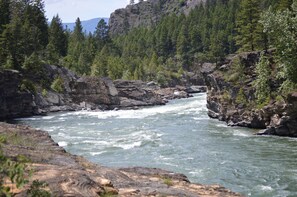 Une rivière qui traverse un canyon rocheux, bordé de chaque côté par une forêt dense.