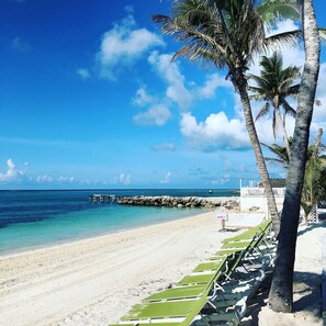 A beach with clear turquoise water, a white sandy shore, and a row of green lounge chairs along the water's edge. - Waterfront 2/2 in KCB! 30ft dock, Cabana Club/Pool (Key Colony Beach)
