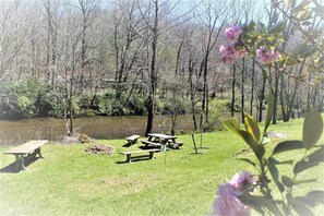 Outdoor dining - Best of Smokies - Riverfront, Waterfalls, Unforgetable - Got It All - DEAL!! (Franklin)