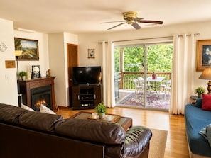 Smart TV, fireplace, DVD player, books