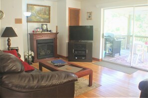 Smart TV, fireplace, DVD player, books