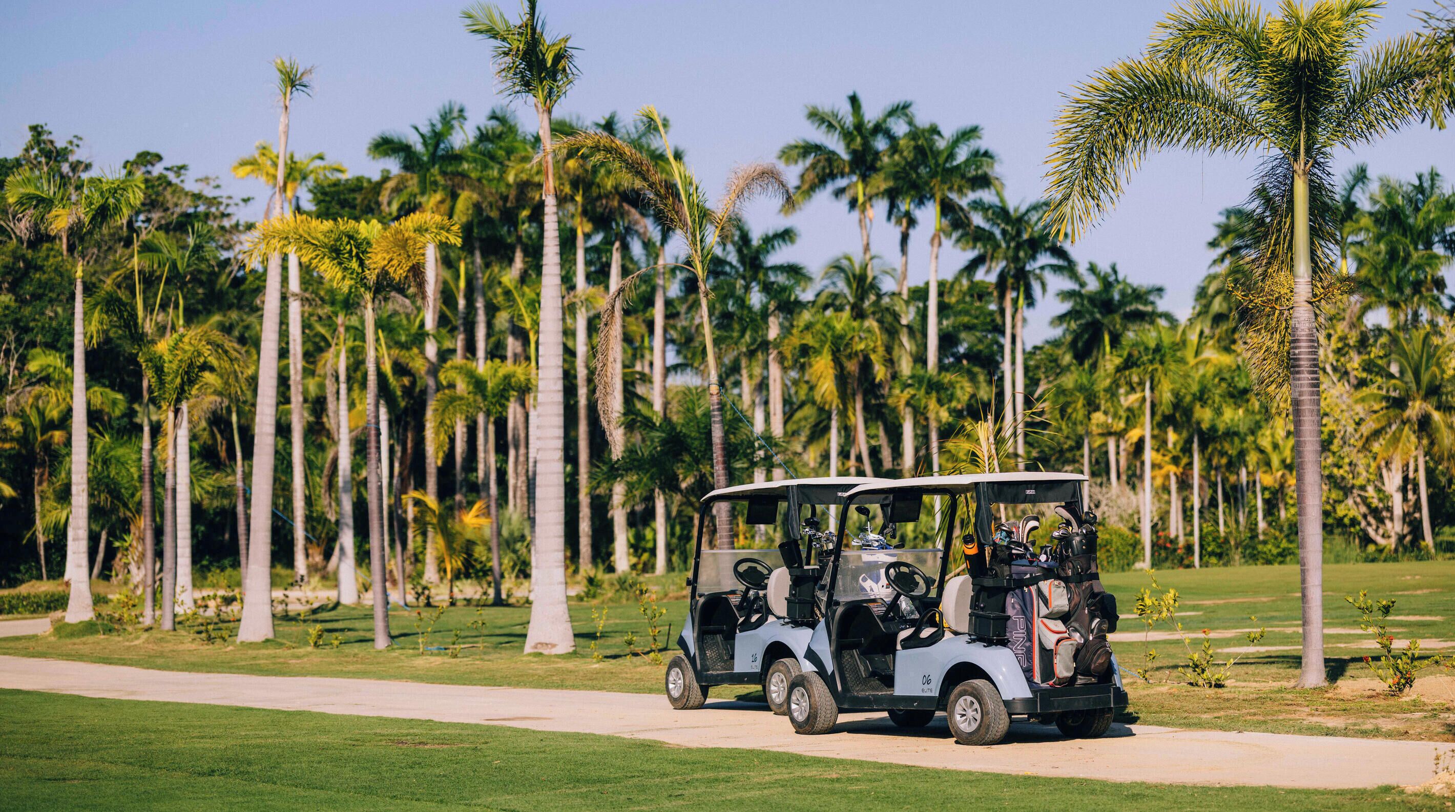 Un golf cart su un percorso con palme sullo sfondo.