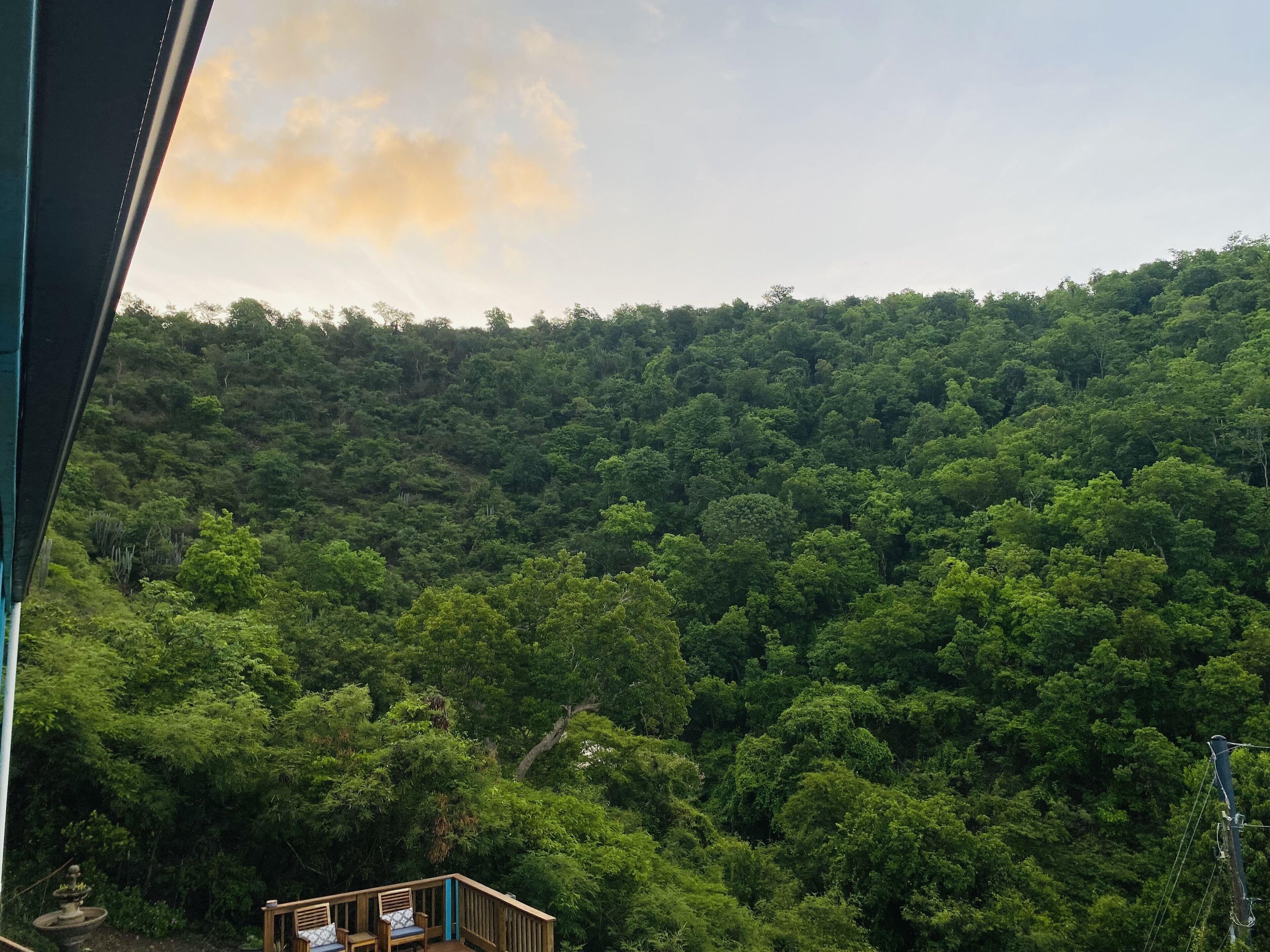 A view of a lush green forest from a balcony with a wooden deck and a small table.