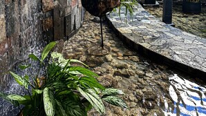 A lobby with a stone wall, a water feature, and potted plants.