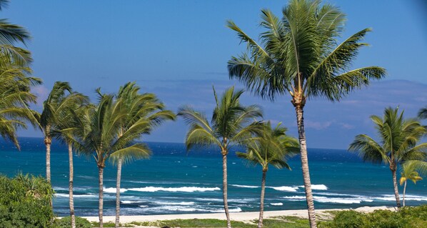 In Strandnähe, Liegestühle, Strandtücher