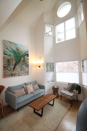 Télévision, cheminée, lecteur de DVD, livres