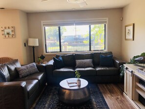 Smart TV, DVD player, books, stereo