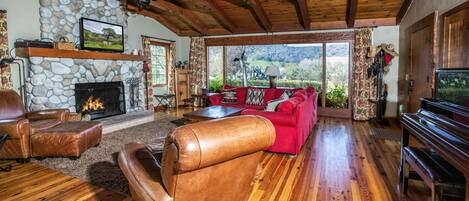 Smart TV, fireplace, DVD player, books