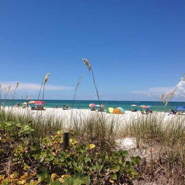 A beach with white sand, clear blue water, and tall grasses in the foreground.
