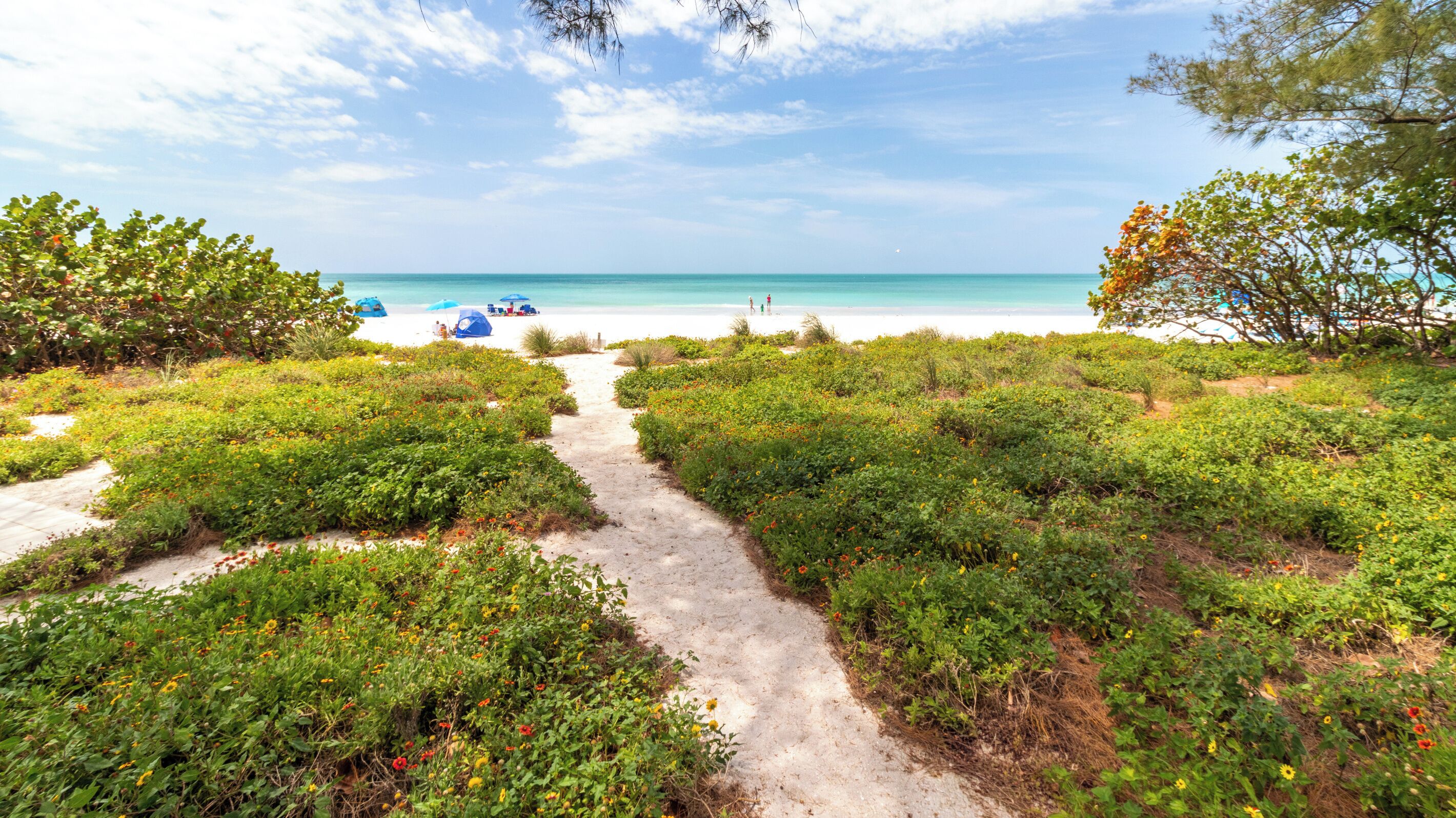A pathway leading to a beach with tents and people in the distance.